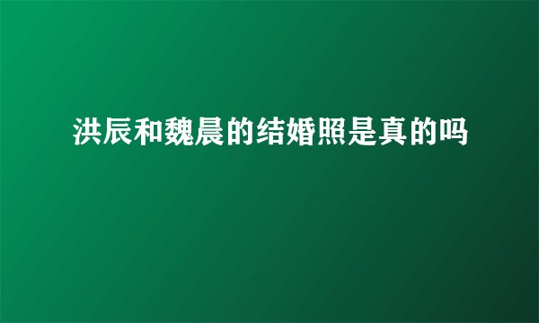 洪辰和魏晨的结婚照是真的吗