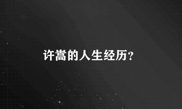 许嵩的人生经历？