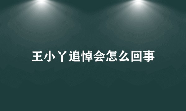 王小丫追悼会怎么回事
