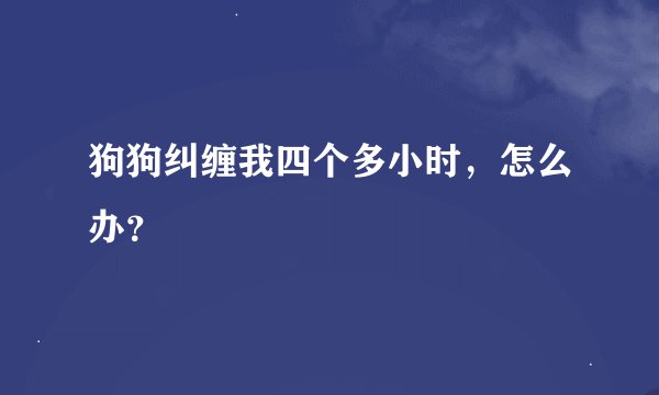 狗狗纠缠我四个多小时，怎么办？