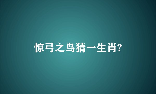 惊弓之鸟猜一生肖?