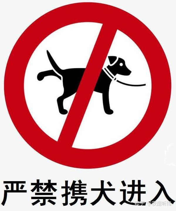 北京禁狗标准有哪些呢？