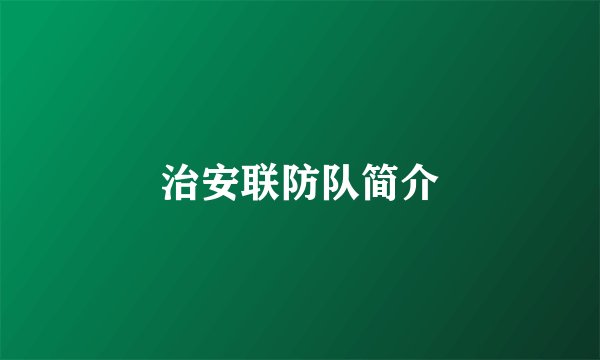 治安联防队简介