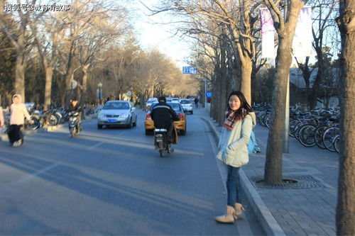 教师撞死一名学生,大连理工是如何通报的?