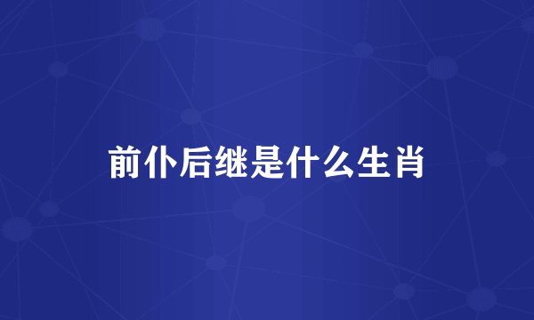 前仆后继是什么生肖