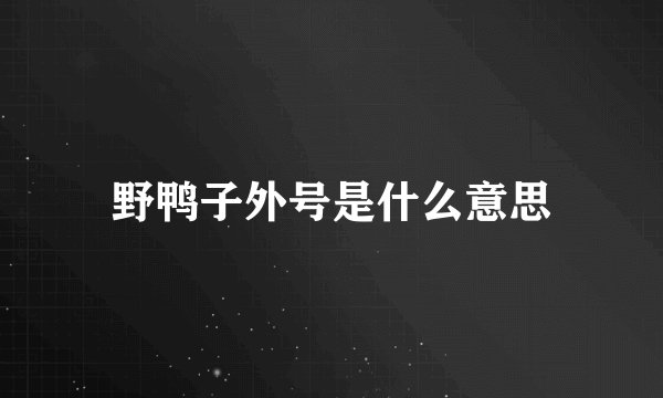 野鸭子外号是什么意思