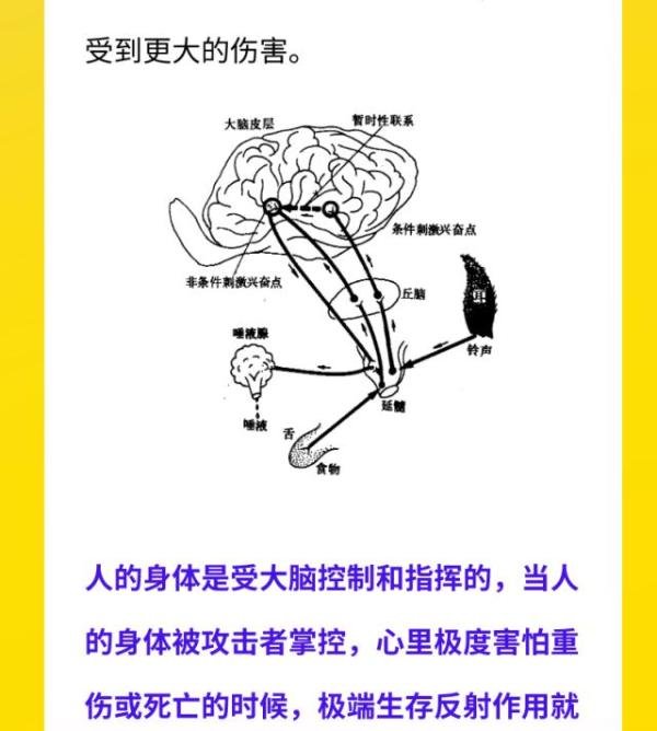 为什么被性侵时，当进入后女人就不反抗了？真相是...