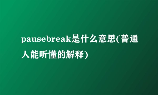 pausebreak是什么意思(普通人能听懂的解释)