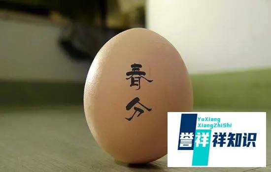 春分当日颇有意味的习俗蚂蚁新村答案最新