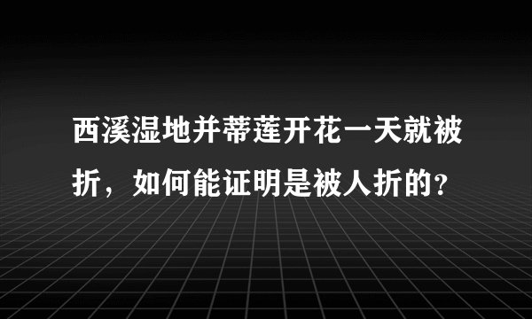 西溪湿地并蒂莲开花一天就被折，如何能证明是被人折的？
