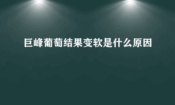 巨峰葡萄结果变软是什么原因