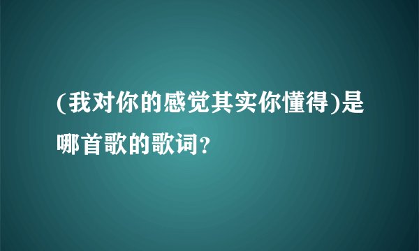 (我对你的感觉其实你懂得)是哪首歌的歌词？