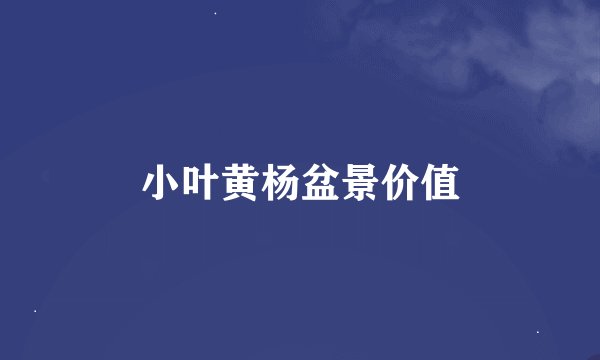 小叶黄杨盆景价值