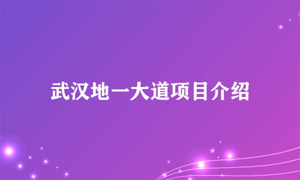 武汉地一大道项目介绍
