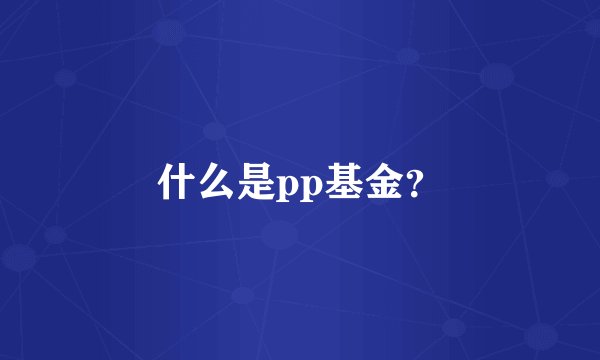 什么是pp基金？