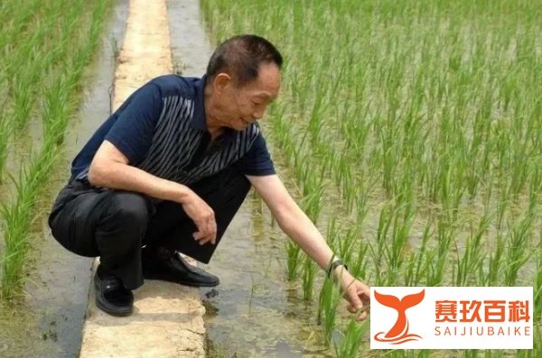 一粥一饭间,怀念袁爷爷!