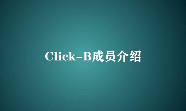 Click-B成员介绍