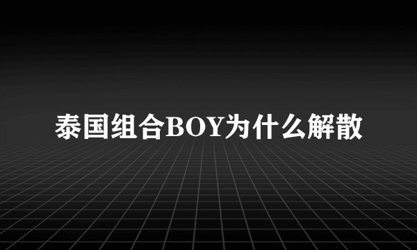 泰国组合BOY为什么解散