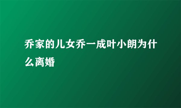 乔家的儿女乔一成叶小朗为什么离婚