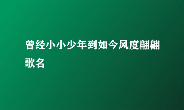 曾经小小少年到如今风度翩翩歌名