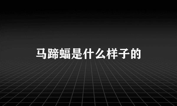 马蹄蝠是什么样子的