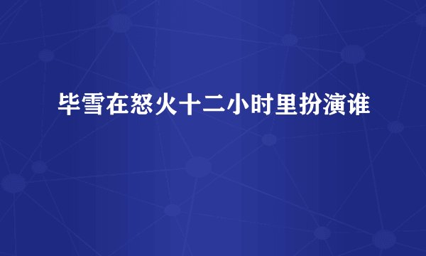 毕雪在怒火十二小时里扮演谁