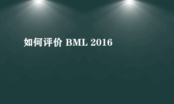 如何评价 BML 2016