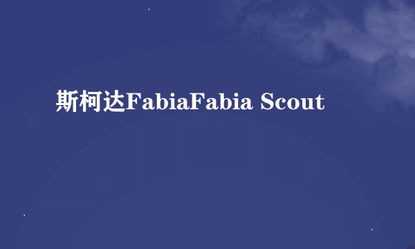 斯柯达FabiaFabia Scout