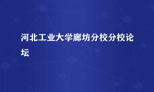 河北工业大学廊坊分校分校论坛