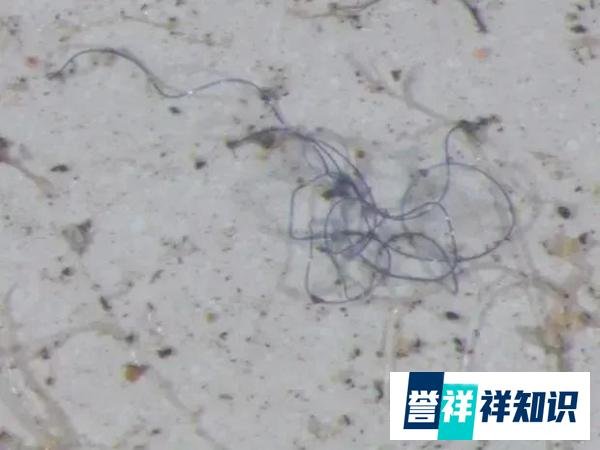 不能淋雨的理由又多了一个—“塑料雨”