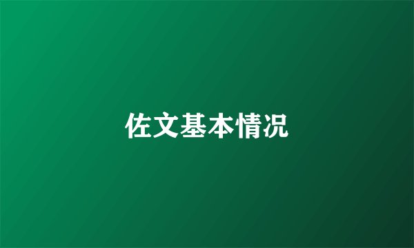 佐文基本情况