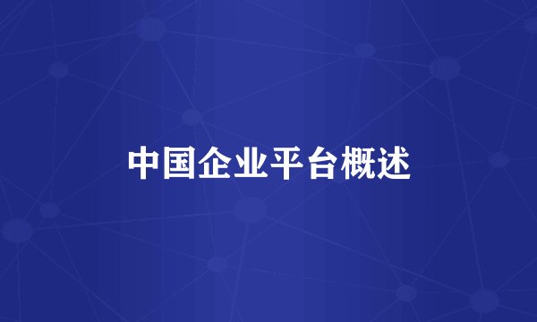 中国企业平台概述