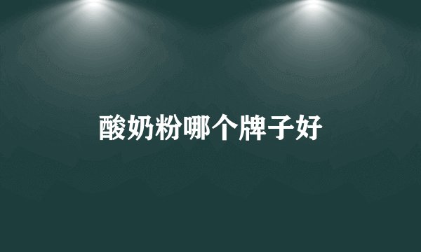 酸奶粉哪个牌子好