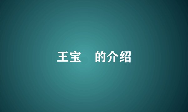 王宝洺的介绍