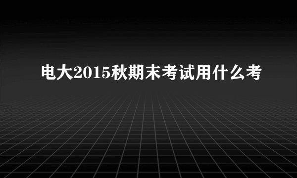 电大2015秋期末考试用什么考