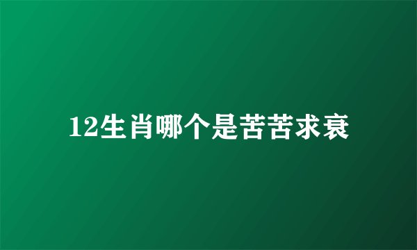 12生肖哪个是苦苦求衰