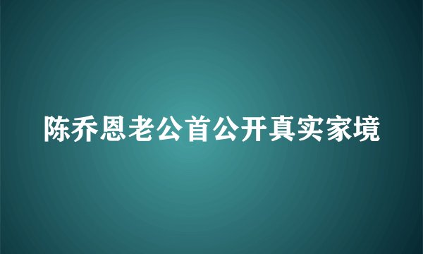 陈乔恩老公首公开真实家境