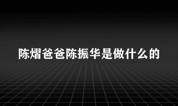 陈熠爸爸陈振华是做什么的