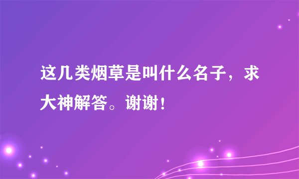 这几类烟草是叫什么名子，求大神解答。谢谢！