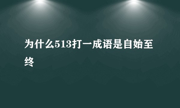 为什么513打一成语是自始至终