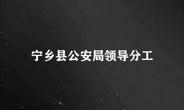宁乡县公安局领导分工
