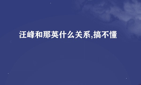 汪峰和那英什么关系,搞不懂