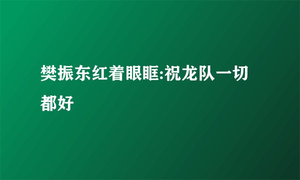 樊振东红着眼眶:祝龙队一切都好