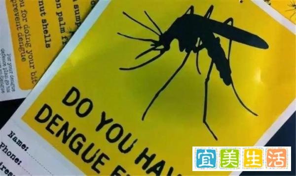 美国将放24亿只转基因蚊子，科学家：巴西曾孕育出超级蚊子
