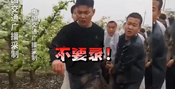 叶县强拆果园后续:领导带400多人强拆,多部门已经介入调查!