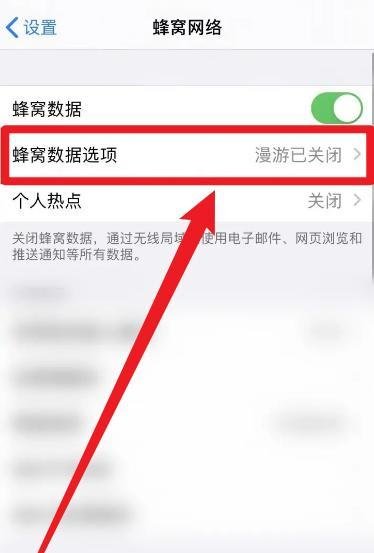 苹果手机显示lte
