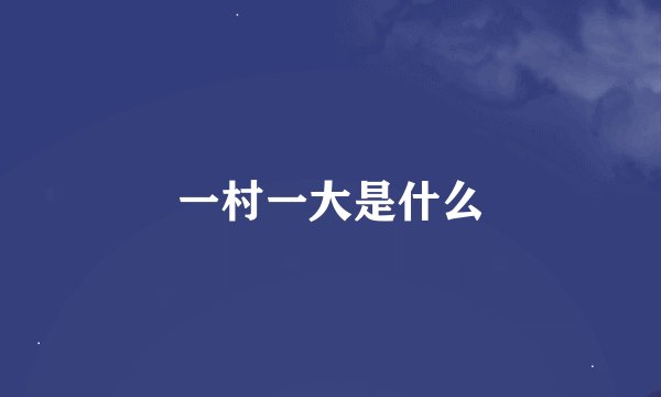一村一大是什么