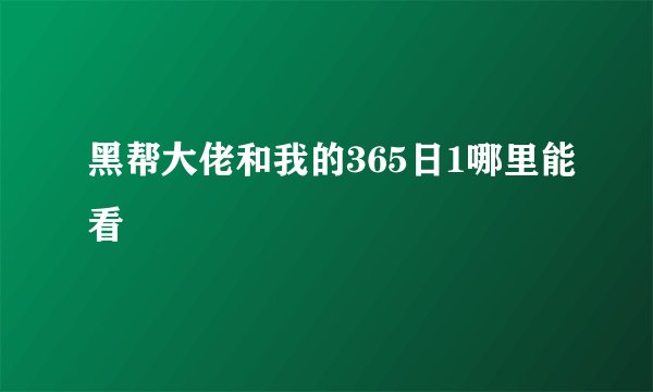 黑帮大佬和我的365日1哪里能看