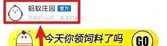 传统小吃“蛤蟆吐蜜”的馅料是蚂蚁庄园答案
