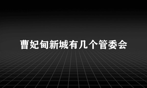 曹妃甸新城有几个管委会